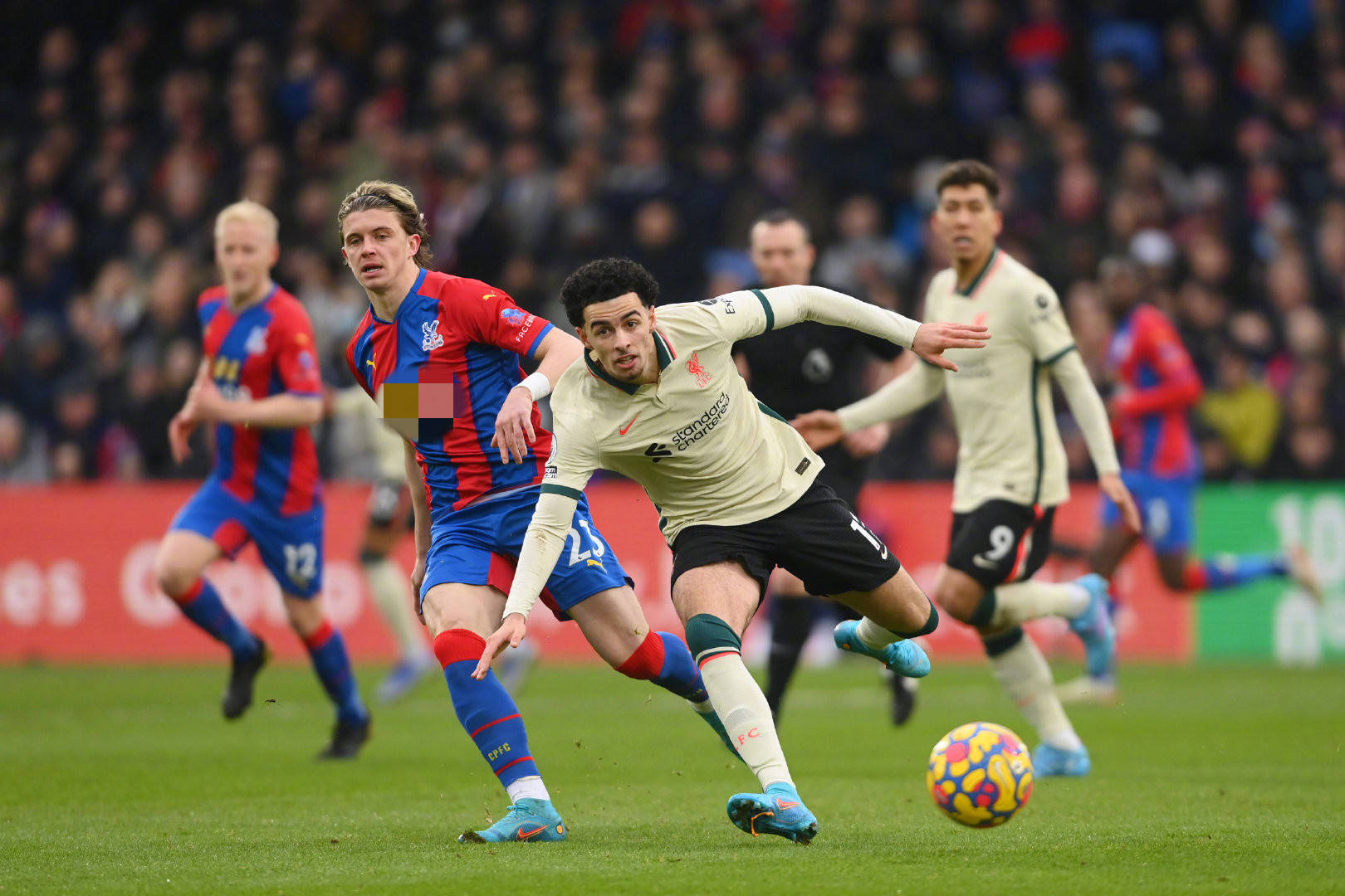 例不仅增添 例不仅增添